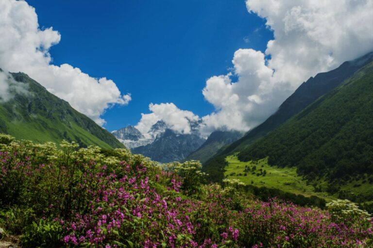 Valley of Flowers Trek